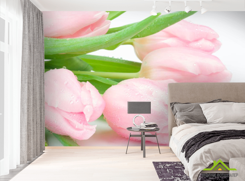 выбрать Фотообои Тюльпаны розовые Фотообои Тюльпаны на стену