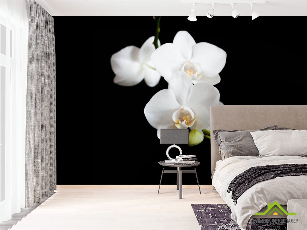 Фотошпалери орхідея