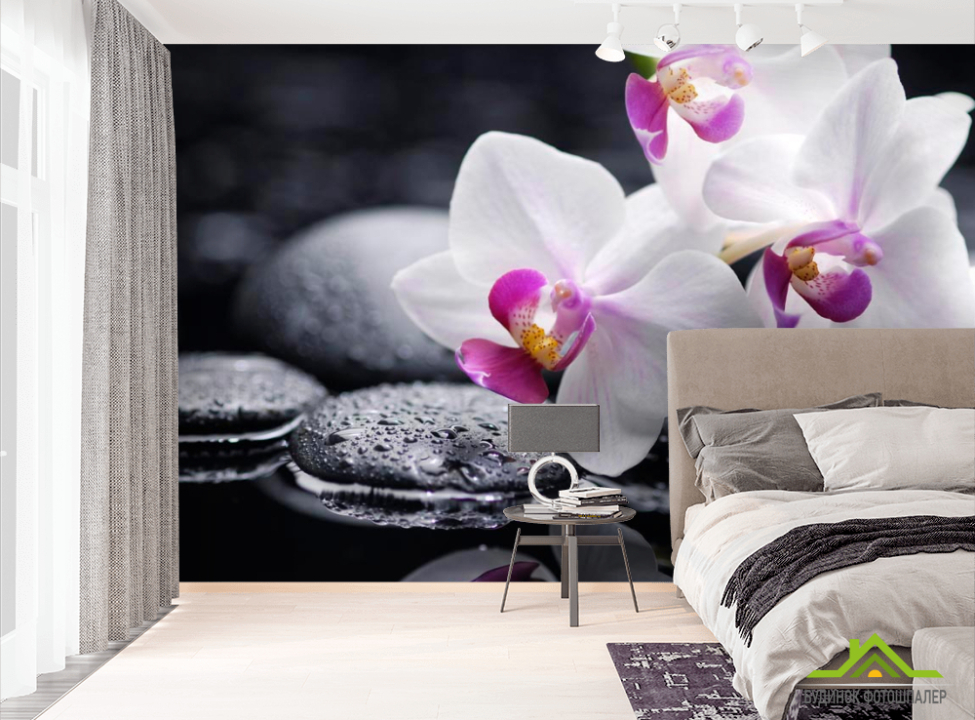 выбрать Фотошпалери Білі й чорні орхідеї Фотошпалери Квіти на стіну