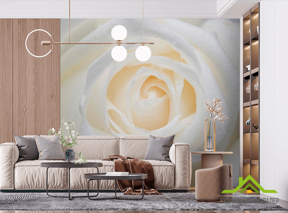 выбрать Фотообои Распустилась белая роза Фотообои Розы на стену