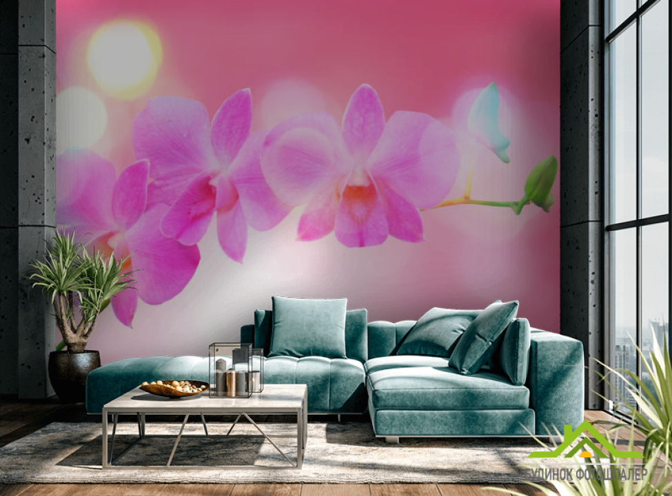 выбрать Фотообои Бледно-розовые цветы Фотообои Цветы на стену