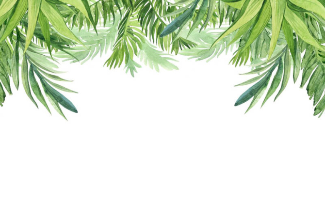 Фотошпалери листя зі стелі