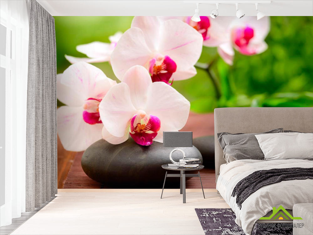 Фотошпалери Орхідеї біло-малинові