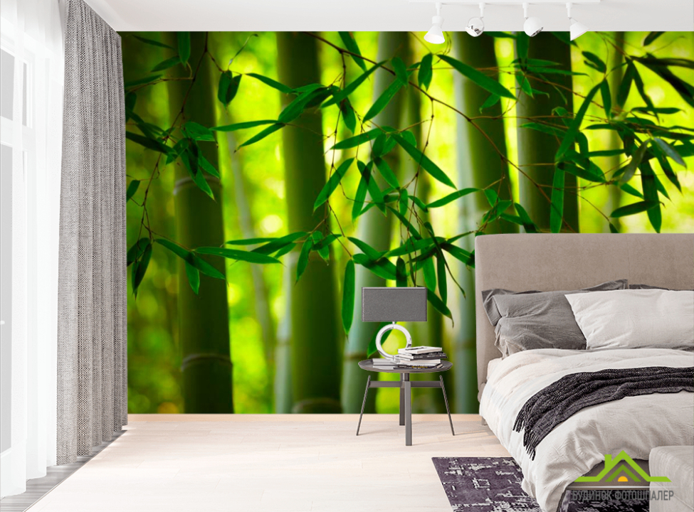 выбрать Фотообои Бамбук и листочки Фотообои лес на стену