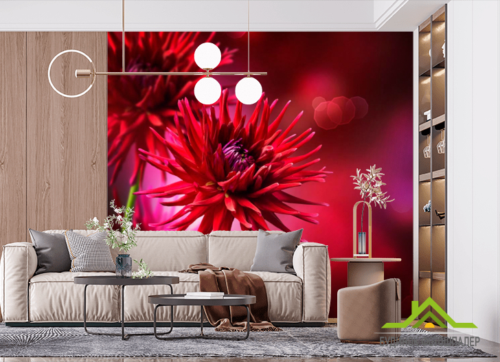 Фотошпалери Червоні айстри