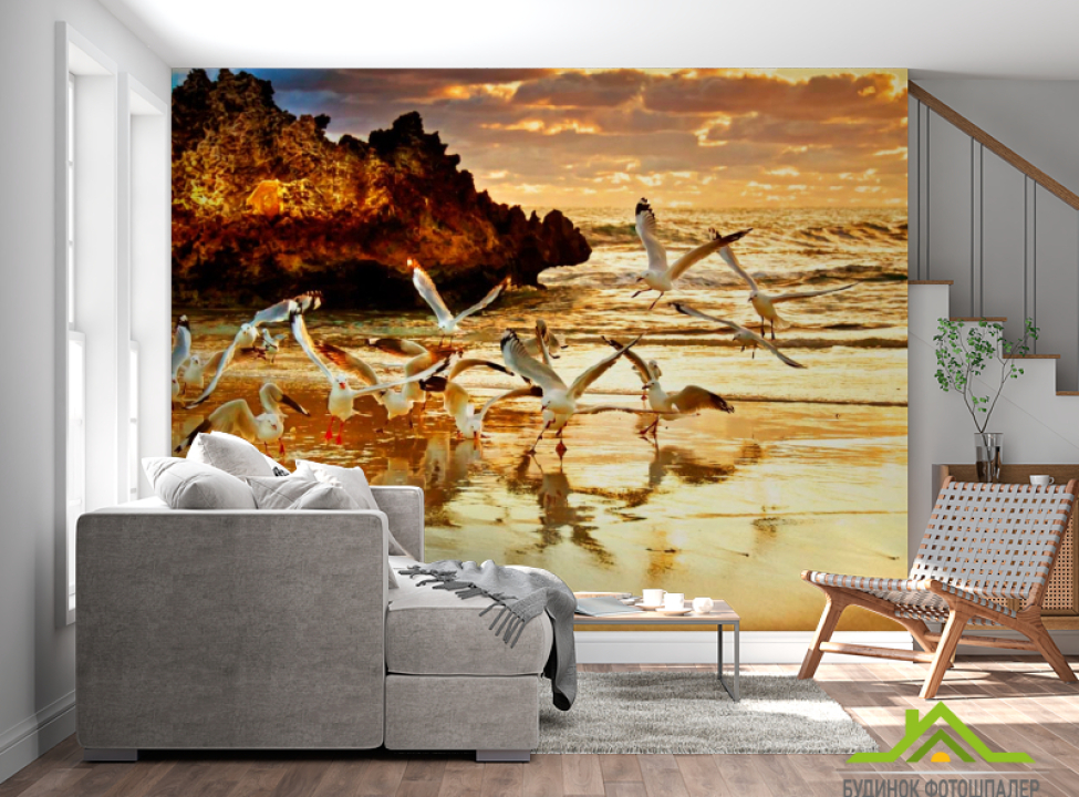 выбрать Фотошпалери Чайки Фотошпалери Птиці на стіну