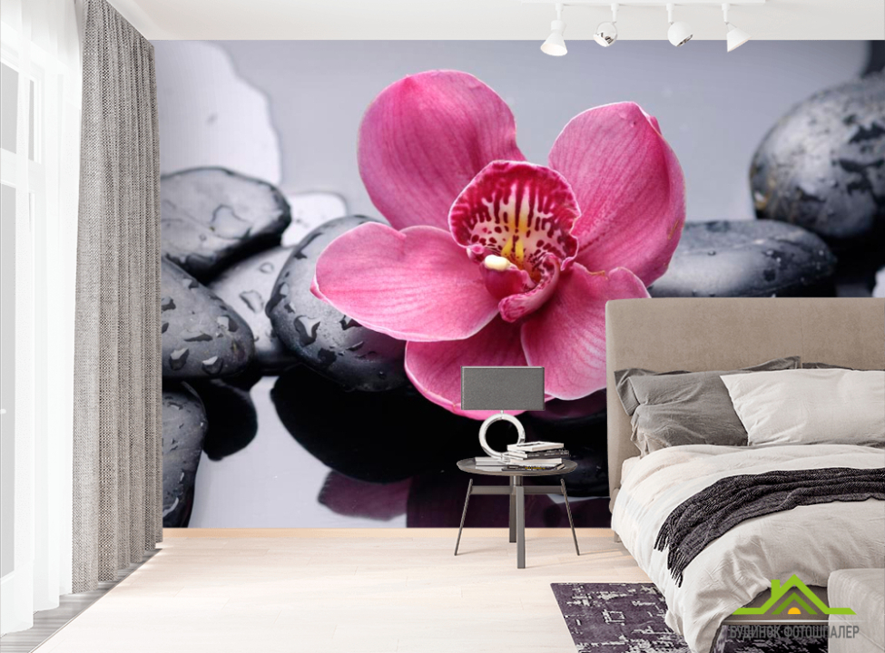 выбрать Фотошпалери Фотошпалери Чорні камені, орхідея Фотошпалери Квіти на стіну