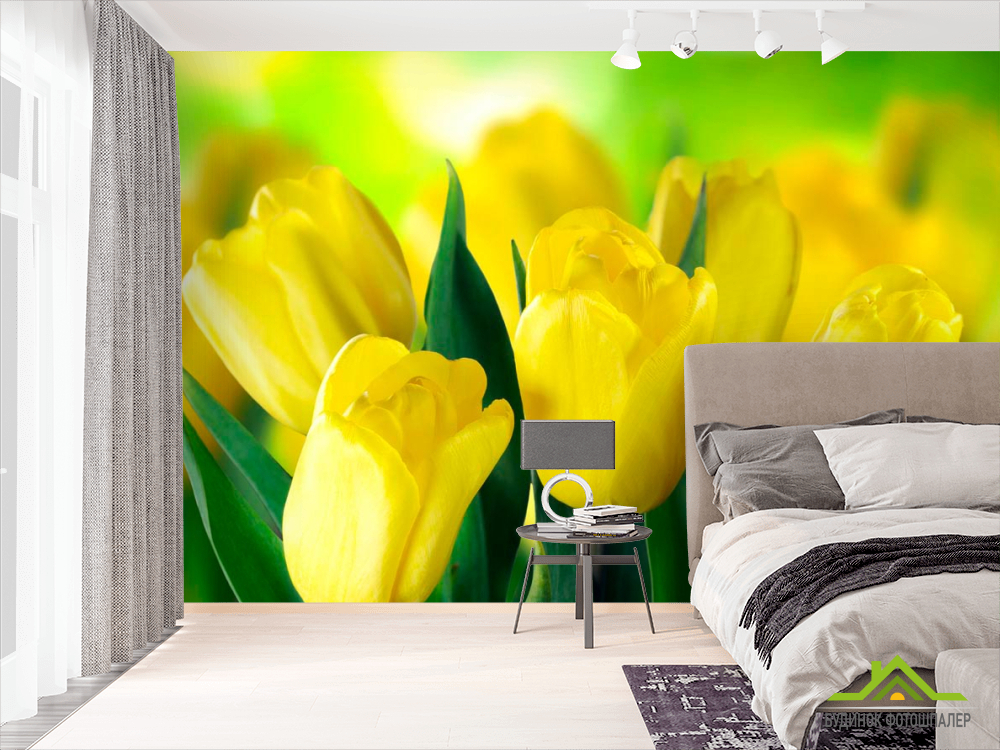 Фотошпалери Яскраво-жовті тюльпани