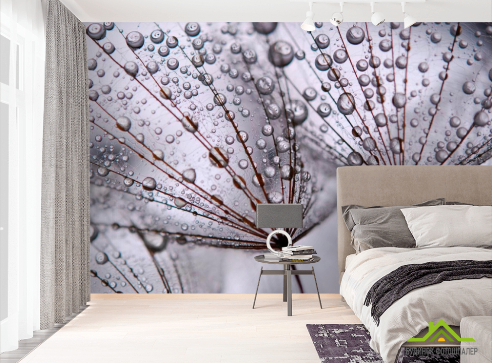 выбрать Фотообои На одуванчиках роса Фотообои Одуванчики на стену