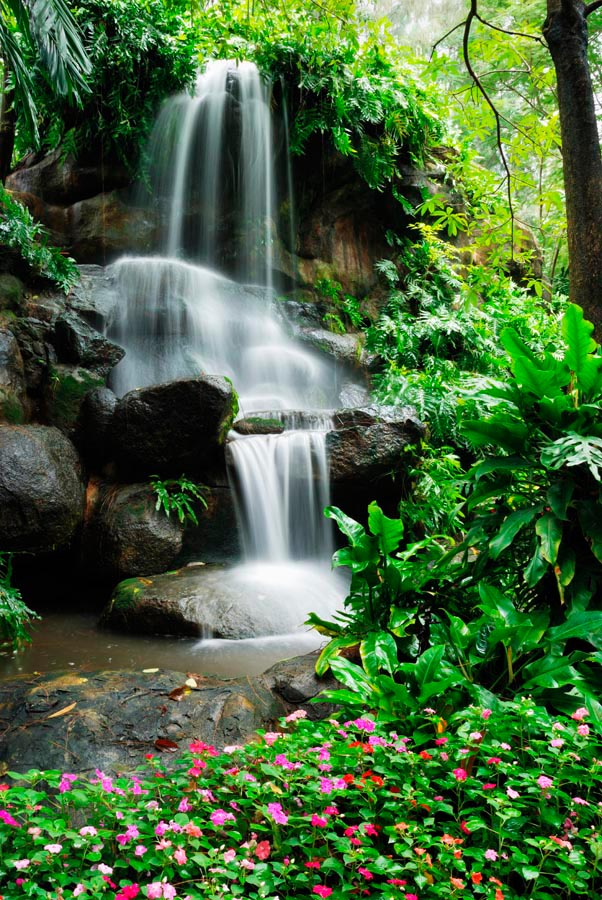 Фотошпалери Райське місце лісу