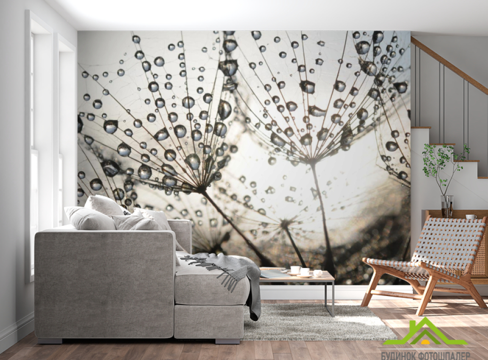 выбрать Фотообои капли и одуванчик Фотообои Одуванчики на стену