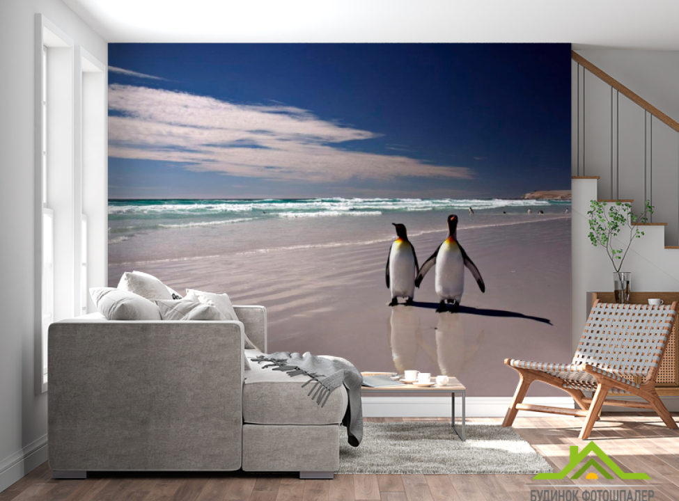 выбрать Фотошпалери Пінгвіни на березі Фотошпалери Птиці на стіну
