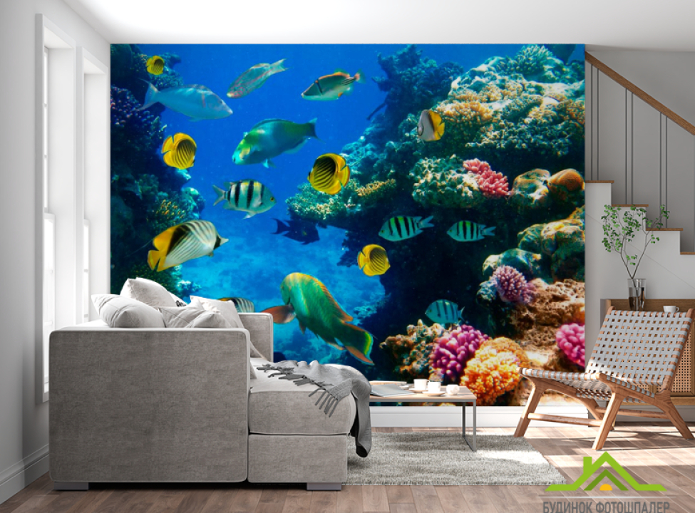 выбрать Фотошпалери Риб'ячий косяк Фотошпалери Риби і море на стіну
