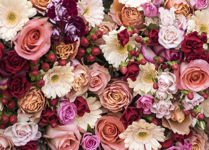 Фотошпалери квіти і ягоди