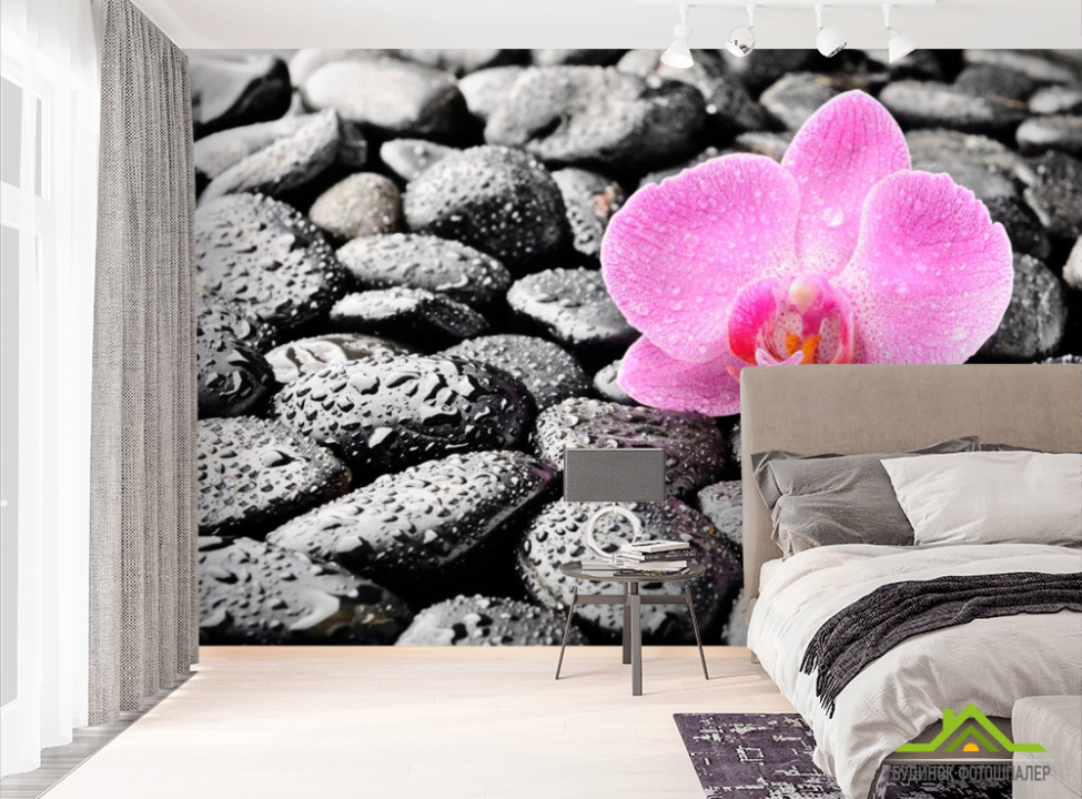 выбрать Фотошпалери Орхідея, роса, камені Фотошпалери Квіти на стіну