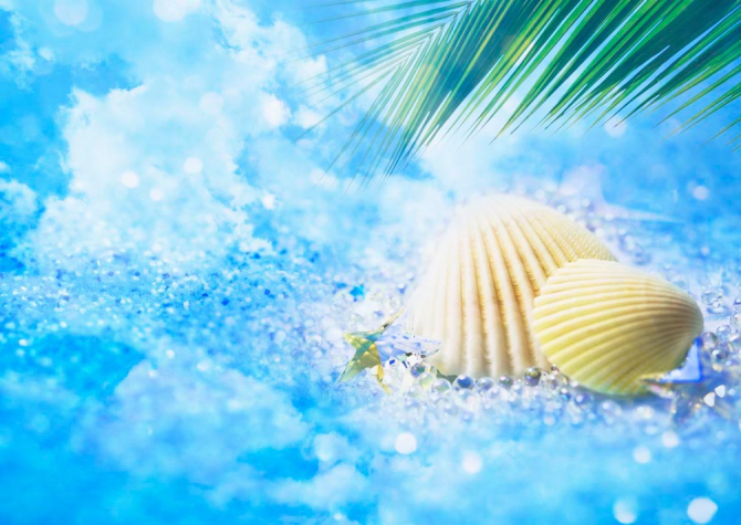 Фотообои Ракушки на соли