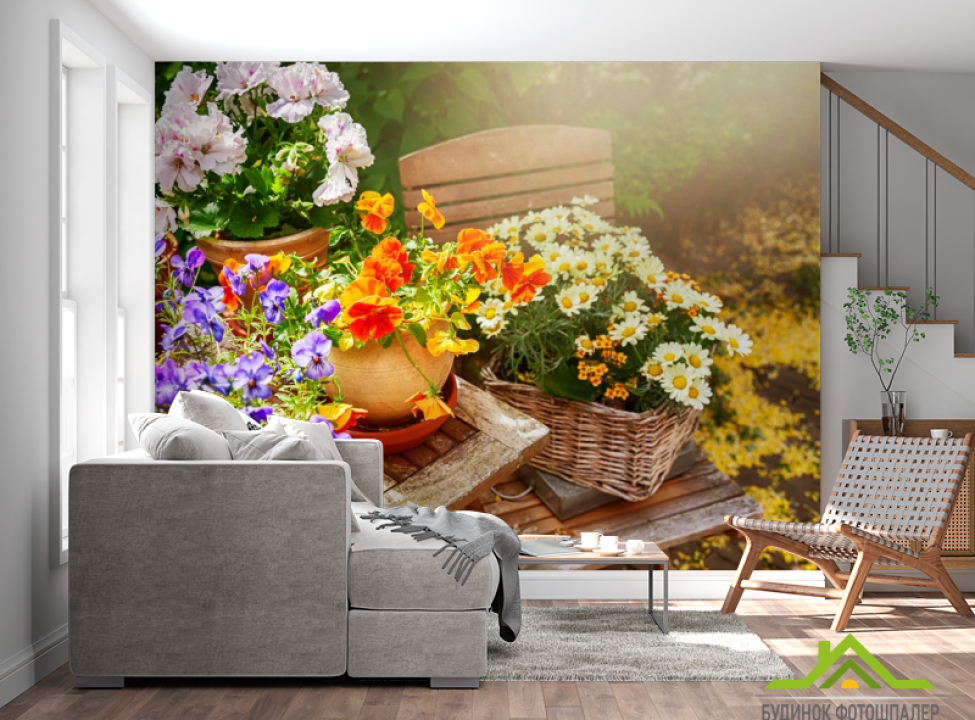 выбрать Фотообои Ромашки Фотообои Ромашки на стену