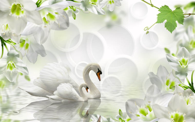 Фотообои лебеди