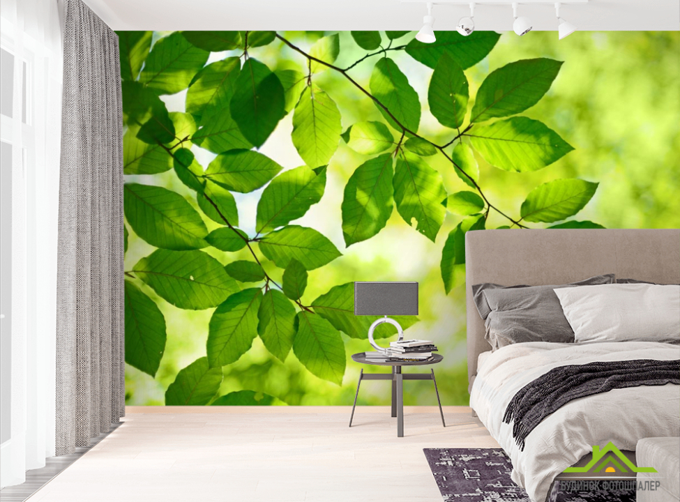 выбрать Фотошпалери зелене листя на дереві Фотошпалери Природа на стіну