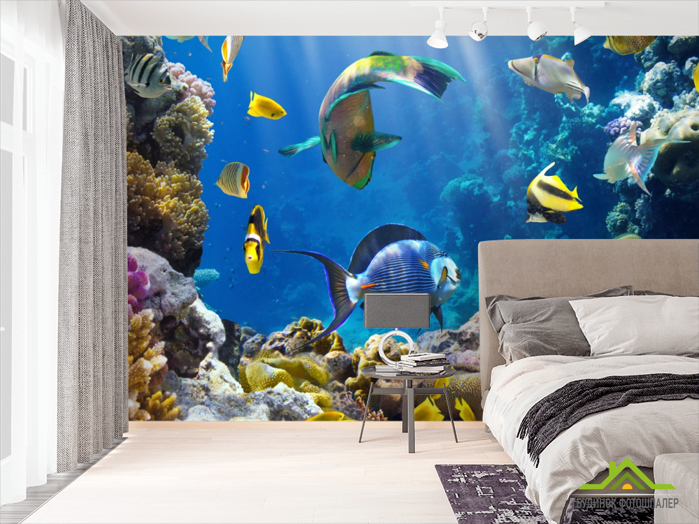Фотообои Рыбки под водой