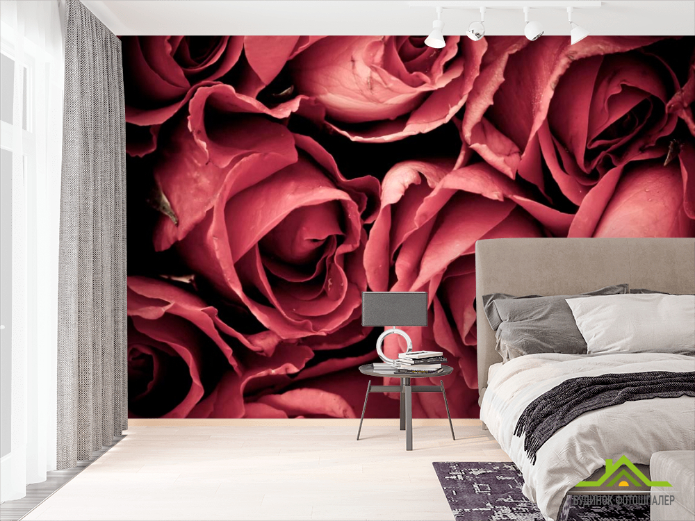 Фотошпалери Червоні троянди