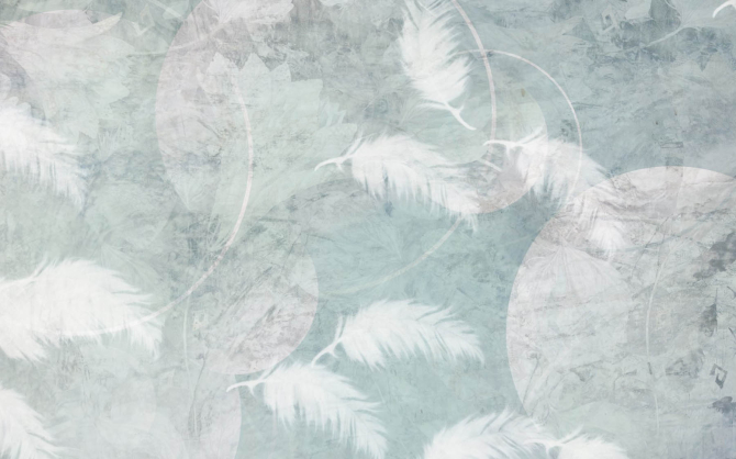 Фотообои Нежные перья на голубом фоне