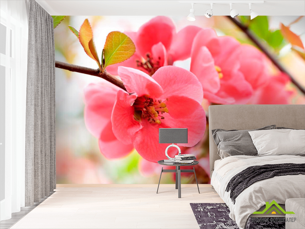 Фотообои Цветок яблони