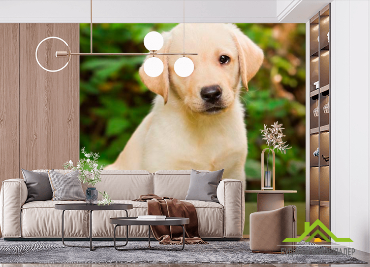 Фотошпалери Милий щеня