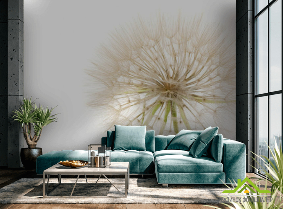 выбрать Фотошпалери кульбаба Фотошпалери різні на стіну