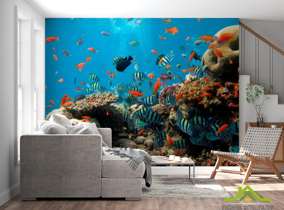 выбрать Фотошпалери Рибки в коралових рифах Фотошпалери Риби і море на стіну