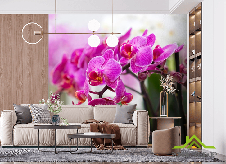 Фотообои Орхидеи соцветие