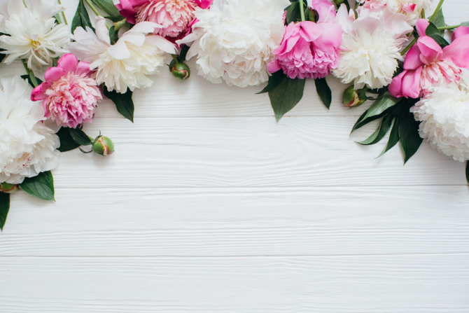 Фотообои Пионы с потолка