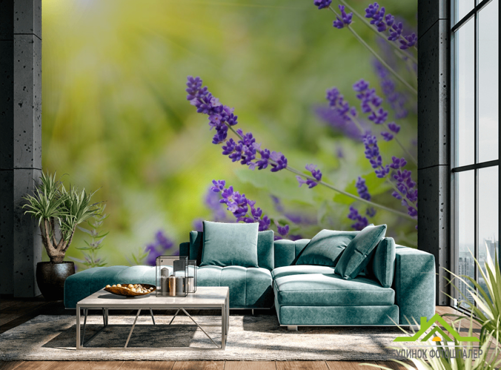 выбрать Фотошпалери сині польові квіти Фотошпалери Квіти на стіну