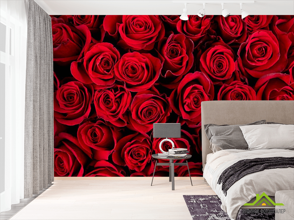 Фотошпалери red roses