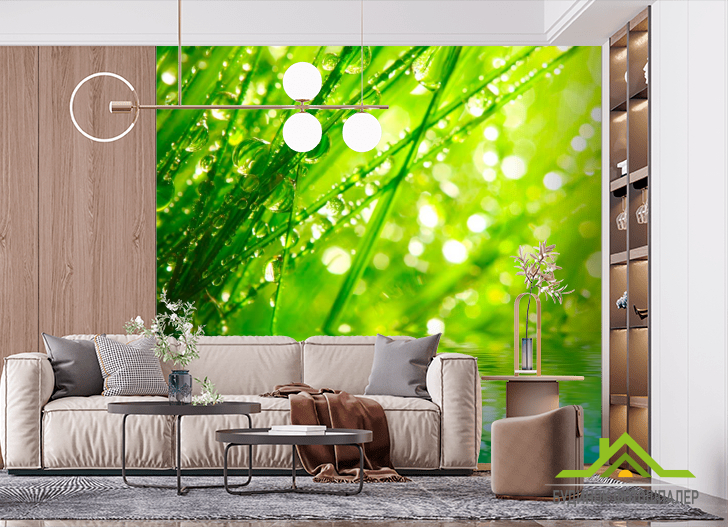 Фотообои Трава в росе