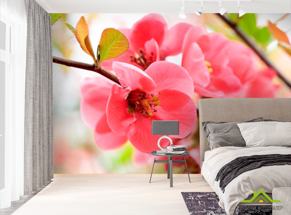 выбрать Фотообои Цветок яблони Фотообои Цветы на стену