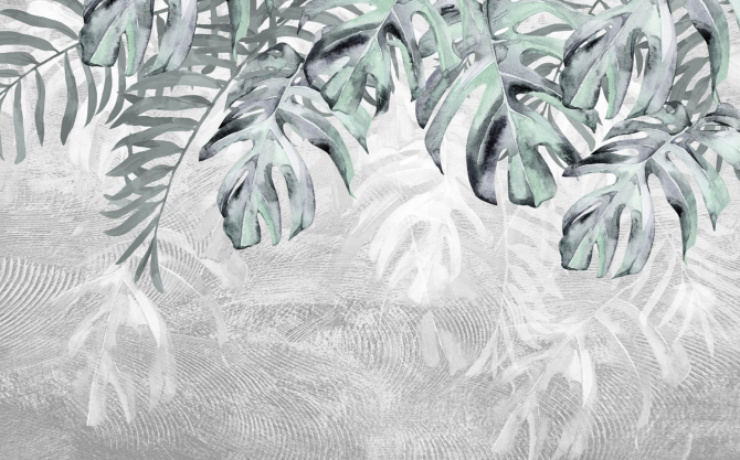 Фотошпалери Монстера