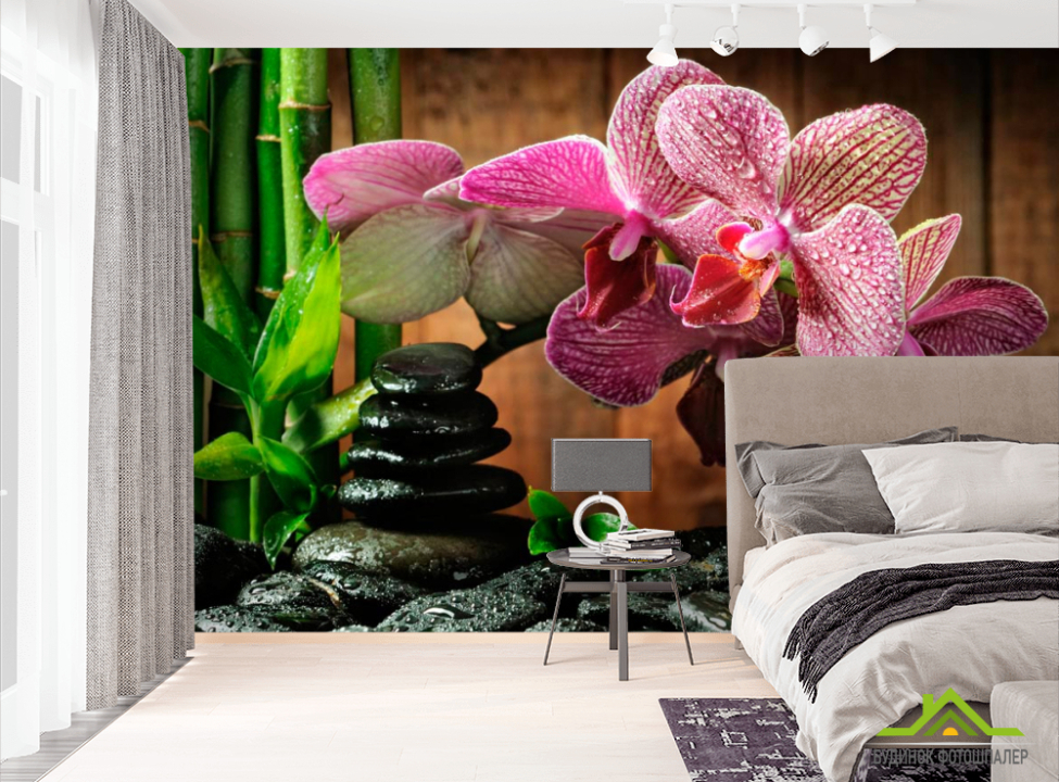 выбрать Фотообои Малиновые полосчатые орхидеи Фотообои Орхидеи на стену