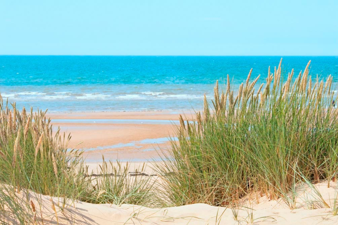 Фотошпалери Берег моря