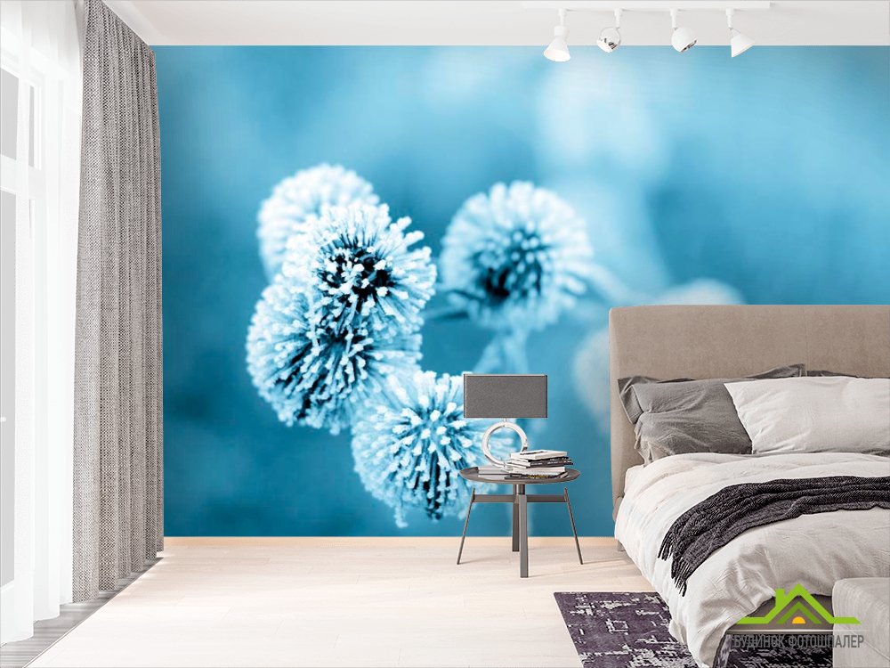 Фотообои Цветы в инее