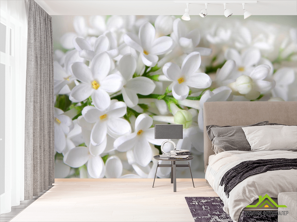 Фотошпалери біла бузок
