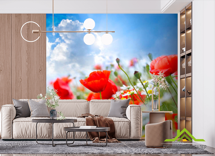 Фотообои Маки и ромашки