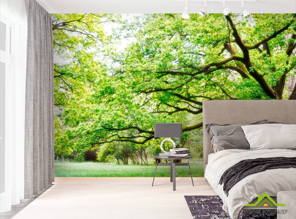 выбрать Фотообои Много веток, дерево Фотообои лес на стену