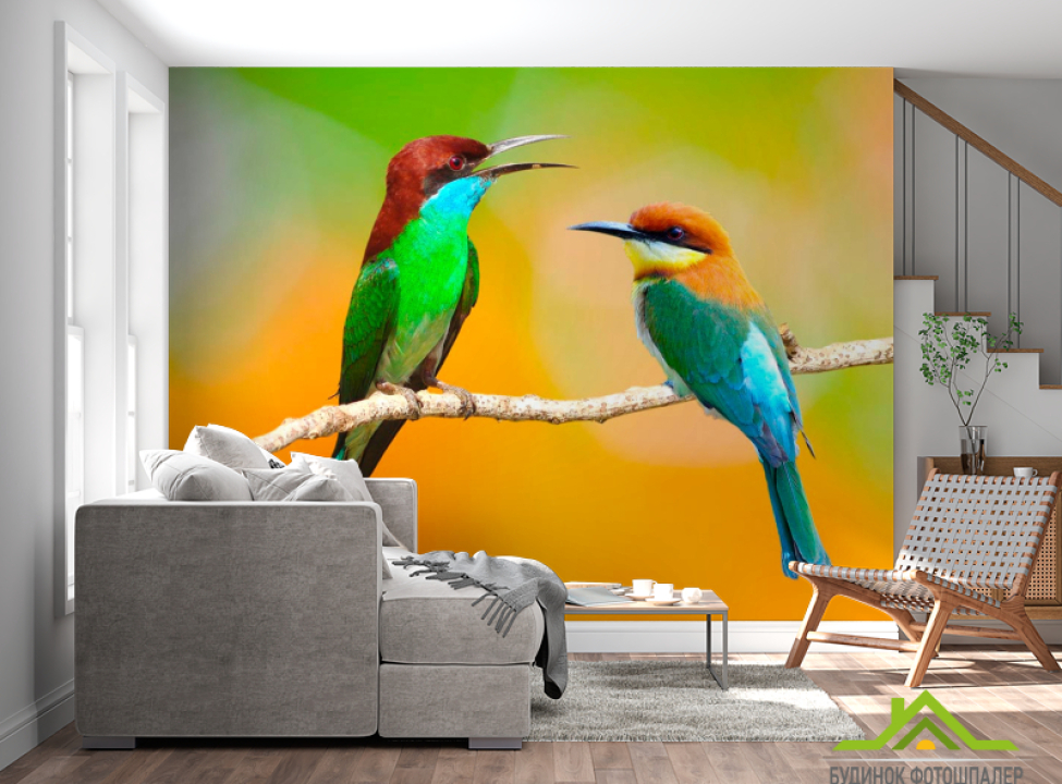 выбрать Фотошпалери Колібрі на гілці Фотошпалери Птиці на стіну