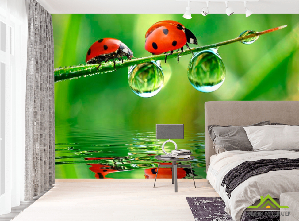 выбрать Фотошпалери Сонечка Фотошпалери Насікомі на стіну