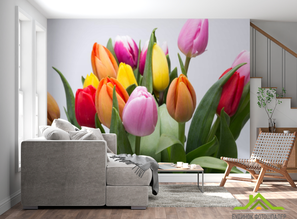 выбрать Фотообои тюльпаны разных цветов Фотообои Тюльпаны на стену
