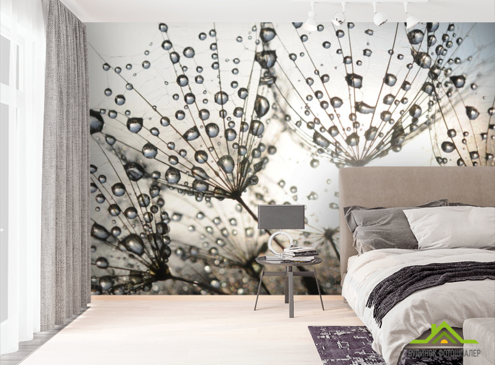 выбрать Фотообои капли и одуванчик Фотообои Одуванчики на стену