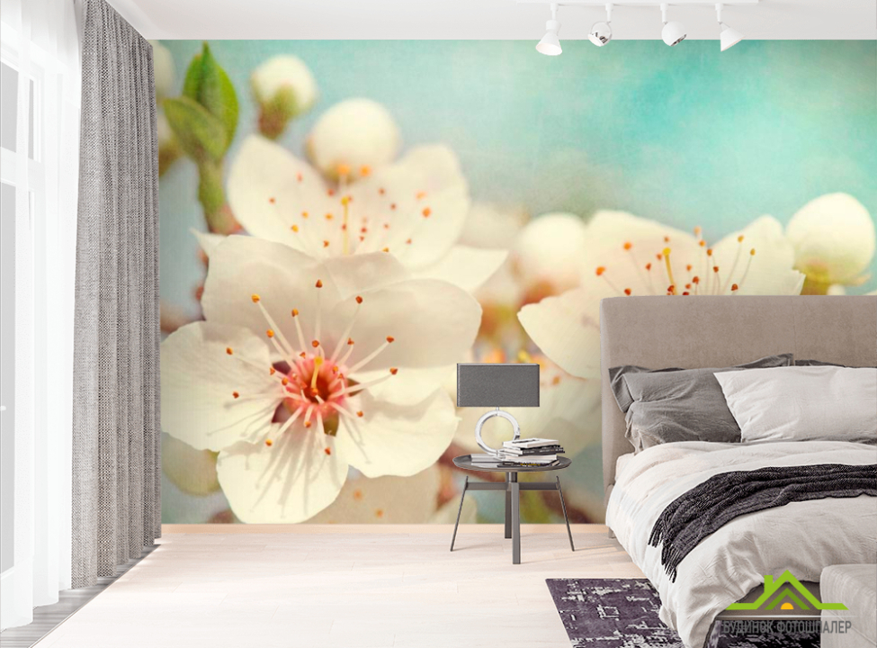 выбрать Фотообои Соцветия цветов черешни Фотообои Цветы на стену
