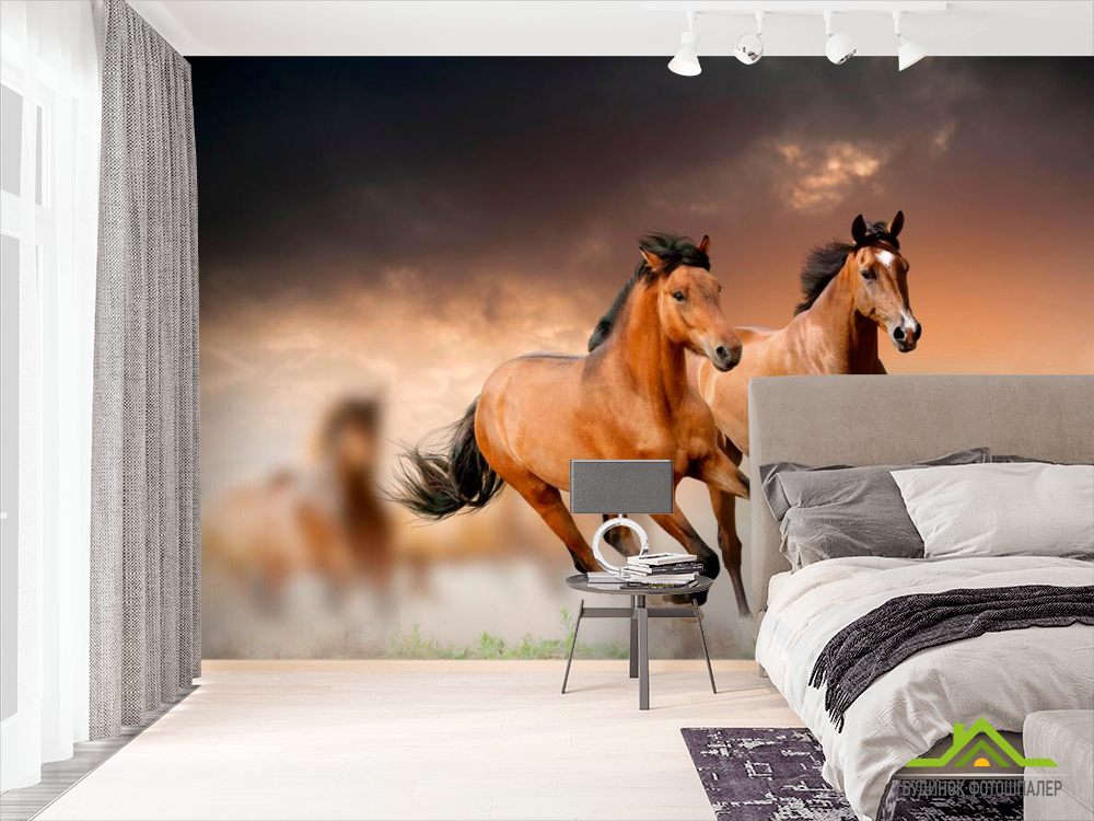 Фотообои Два мустанга