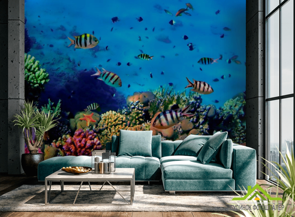 выбрать Фотошпалери Підводний світ. Краси. Фотошпалери Риби і море на стіну